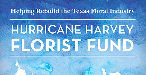 WF&FSA Donates to Help Hurricane Harvey Victims