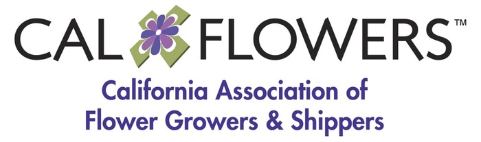 CalFlowers Launches Consumer-Direct Marketing Campaign on January 13